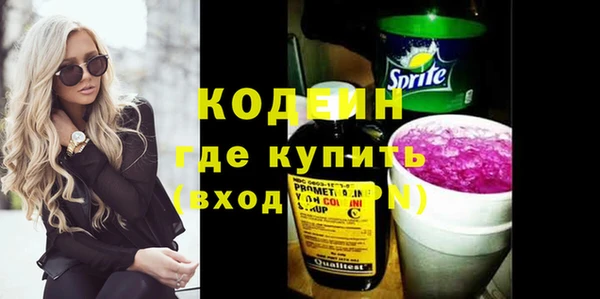 молекула духа Новодвинск
