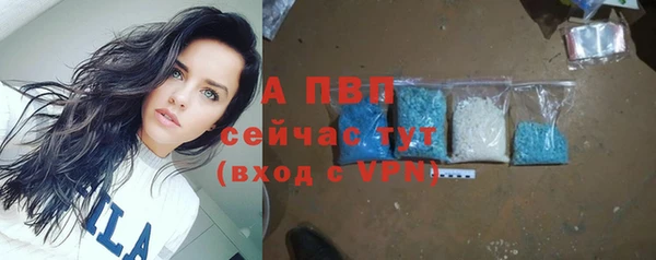 молекула духа Новодвинск