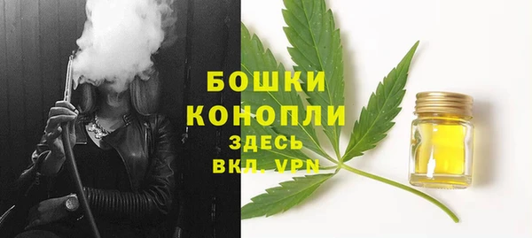 молекула духа Новодвинск