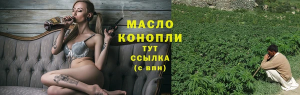 молекула духа Новодвинск